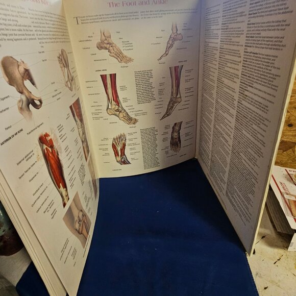 Wallchart of Human Anatomy: 3 D Full-Body Images, Detailed System Charts - Picture 4 of 6